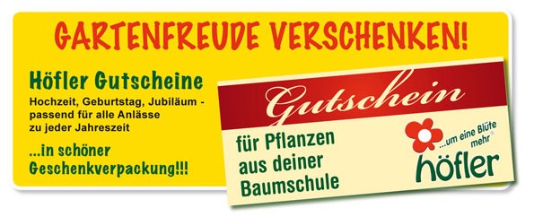 Gutscheine Inserat web