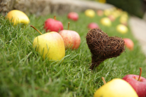 Goldener Herbst mit Gräsern!