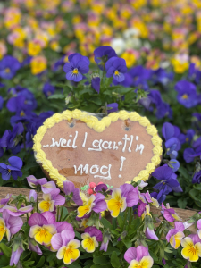 Buntes Herbst´ln – Schnäppchentage